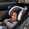 SnugRide SnugFit 35 DLX Infant Car Seat Featuring Safety Surround - Jacks