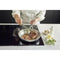 Demeyere Stainless Steel Pans