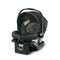 SnugRide 35Lx Infant Car Seat - Brody (See description)