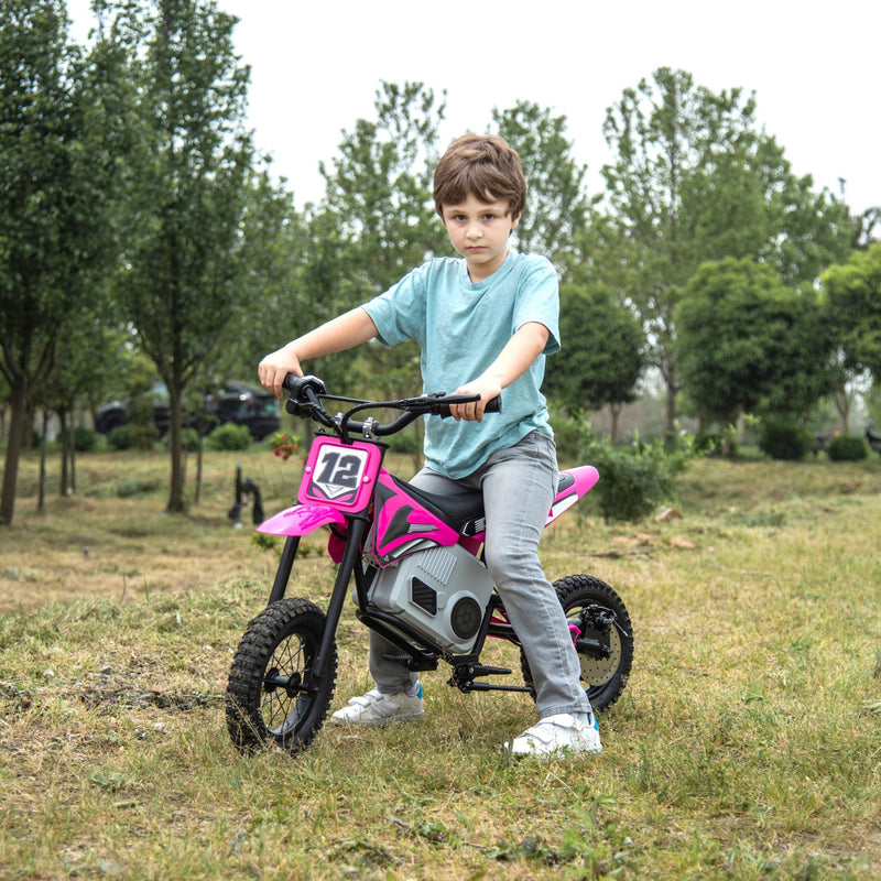 Freddo Toys 36V Electric Dirt Bike with Brushless Motor