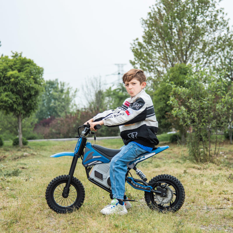 Freddo Toys 36V Electric Dirt Bike with Brushless Motor